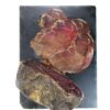Cecina – Image 2